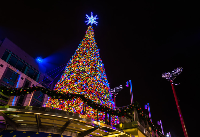 christmas-tree-lights