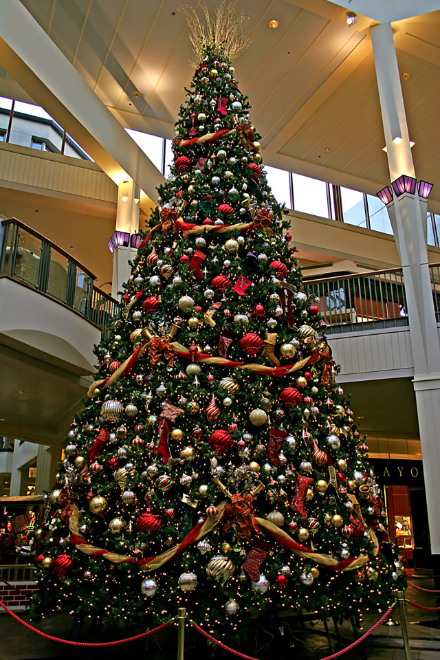 giant-christmas-tree-mall-compressed